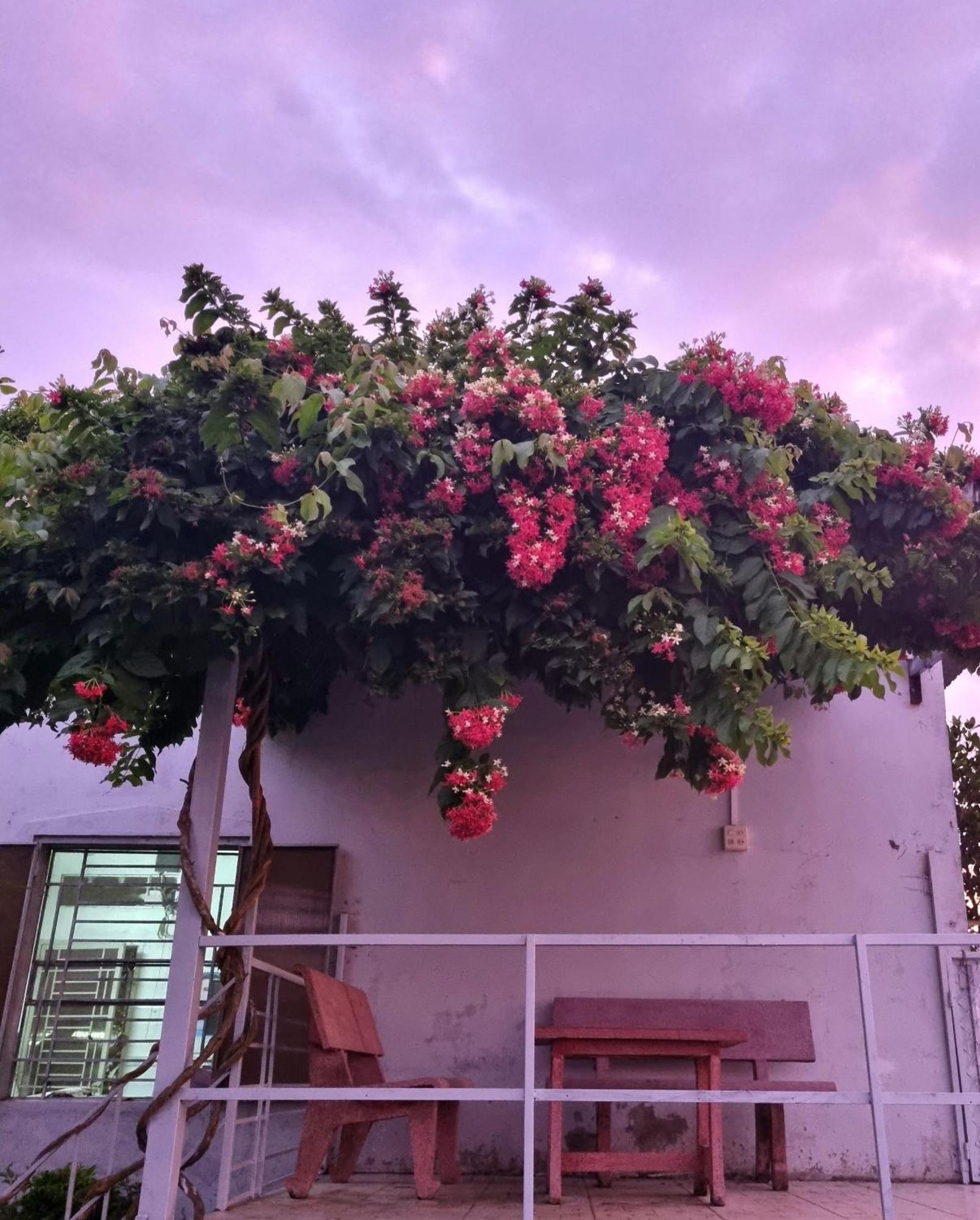 Tran Phu Riverside House カントー エクステリア 写真