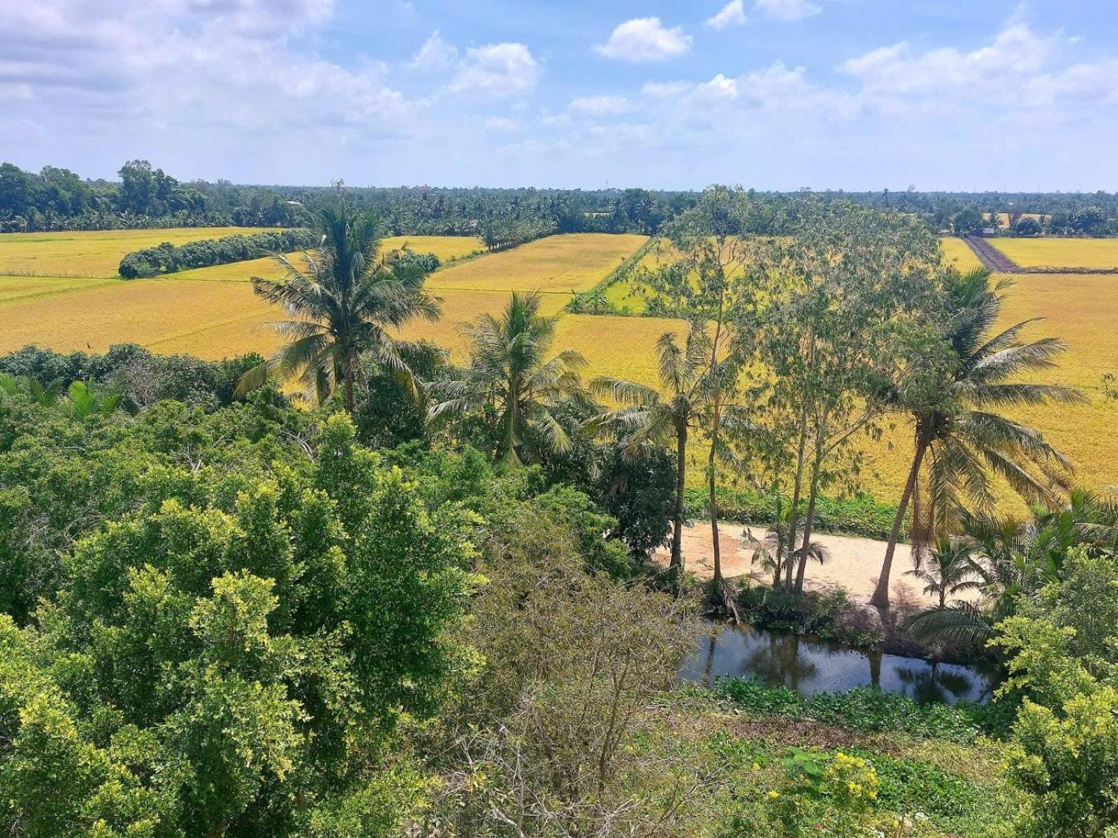 Tran Phu Riverside House カントー エクステリア 写真